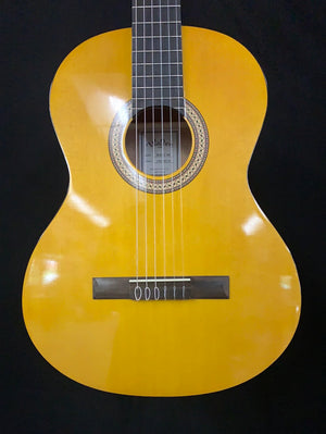 Walden N350 Nylon string guitar
