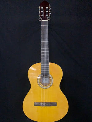 Walden N350 Nylon string guitar